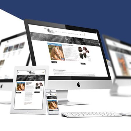 Kurumsal Web Tasarım Hizmeti Satın Al​